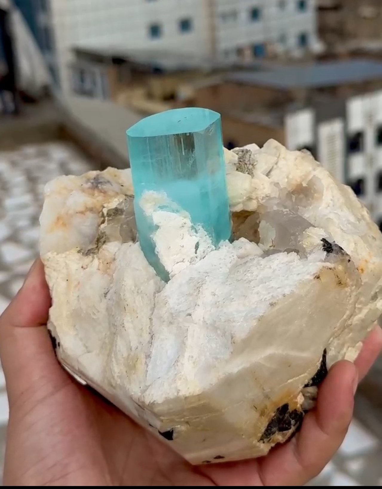 Museum-quality natural aquamarine crystal specimen from the world-famous Haramosh Mine - 图片 2