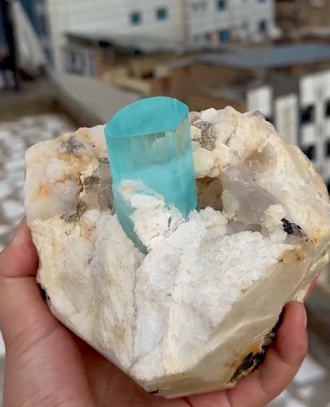 Museum-quality natural aquamarine crystal specimen from the world-famous Haramosh Mine - 图片 3
