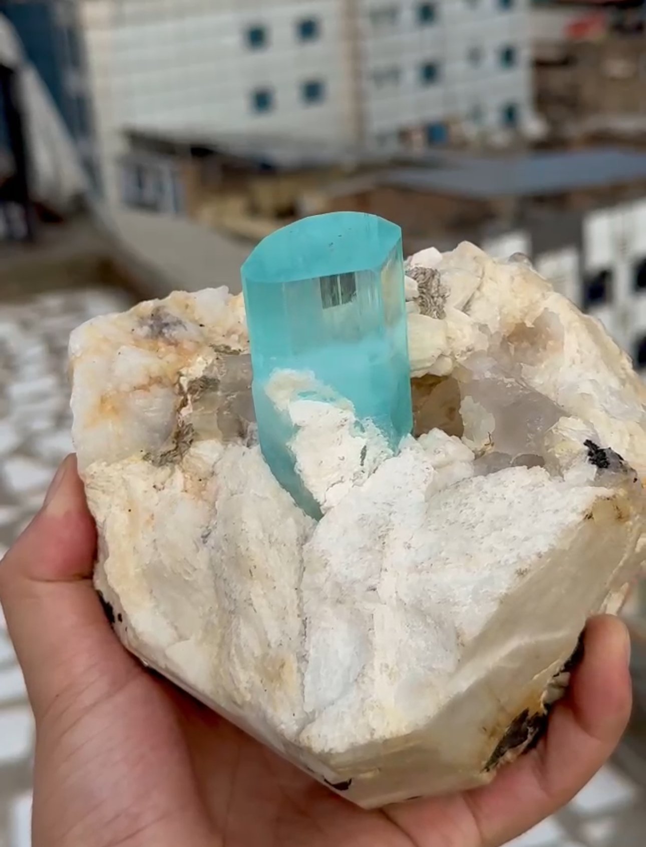Museum-quality natural aquamarine crystal specimen from the world-famous Haramosh Mine