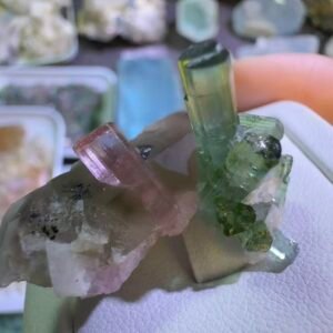 Pink and green tourmaline specimens (on sale)